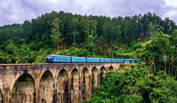 Индивидуальный экскурсионный тур Культура & Природа